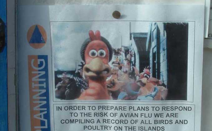 Bird Blu warning poster