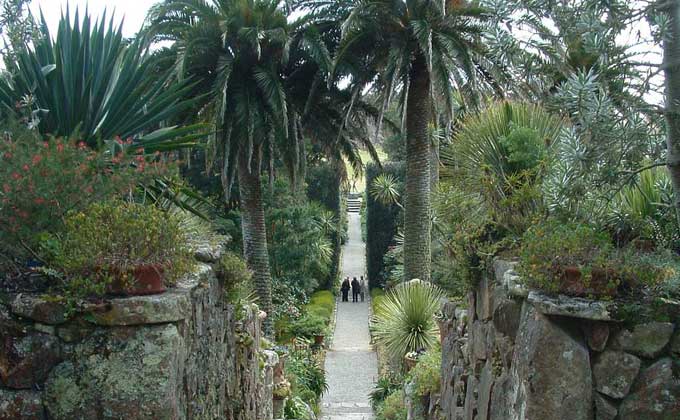 The Tresco Gardens