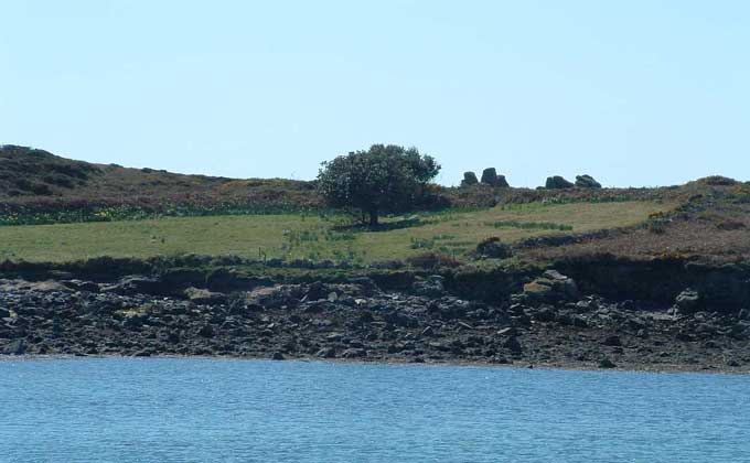 Samson from Bryher