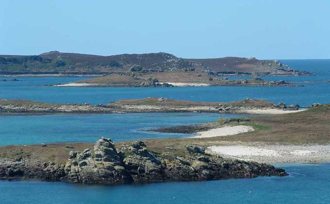 Tean from St Martins
