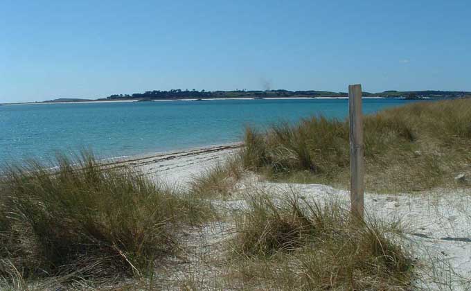 A view over St Martins